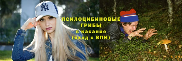 а пвп мука Алзамай